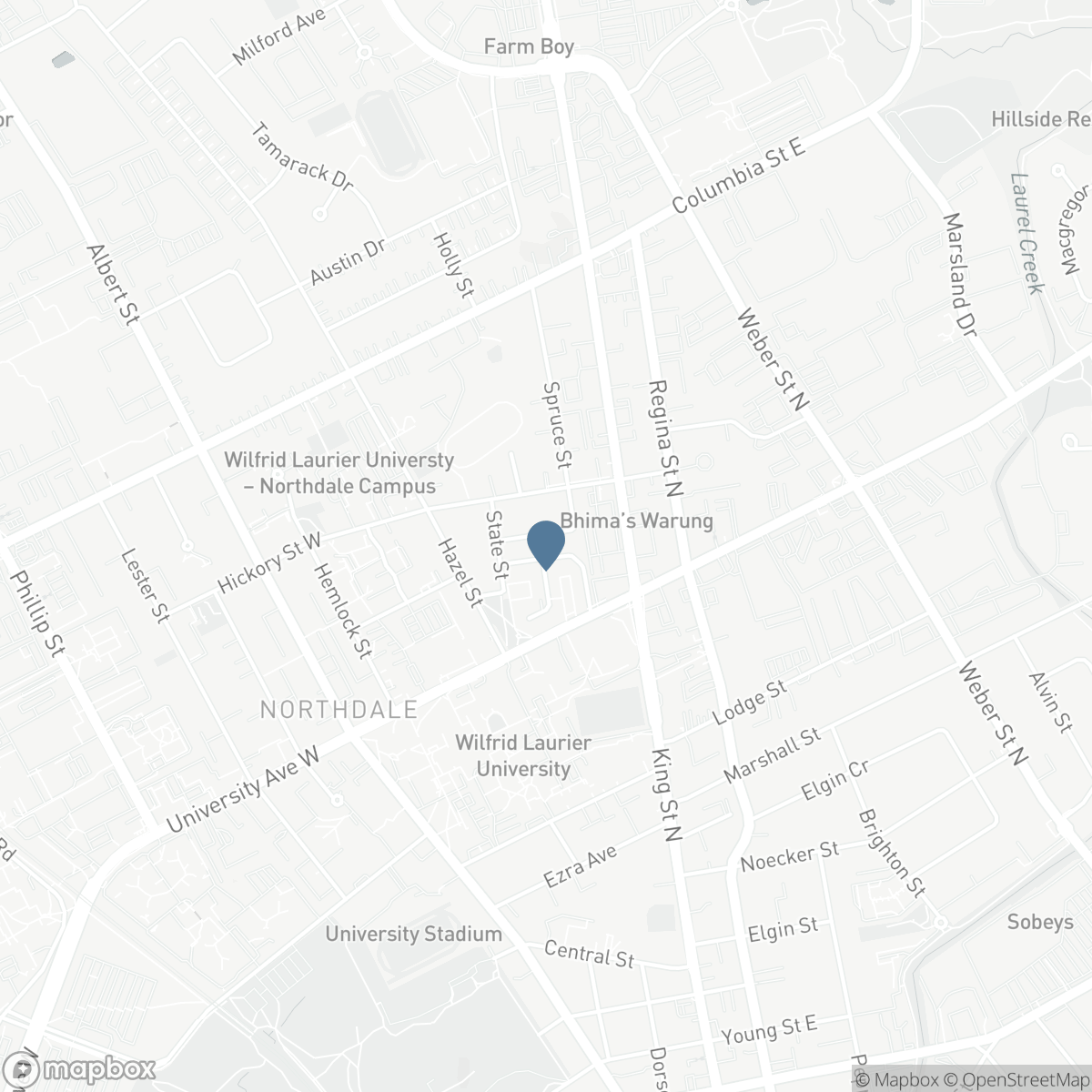 23 FIR STREET, Waterloo, Ontario N2L 3H4